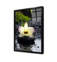 Spa Taşları ve Orkide Çerçeveli Cam Tablo