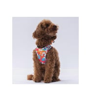 Pawstar Air Mesh Harness Göğüs Tasması A26 Mosaic Medium