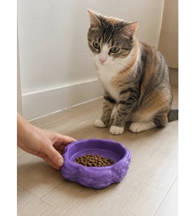 Eko Form Model Beton Kedi Köpek Mama ve Su Kabı (16cm*16cm*5.5cm) - Mor