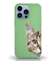 Apple iPhone 13 Pro Max Uyumlu Lansman Kılıf Catface Tasarımlı İçi Kadife Kapak-Yeşil (Şeffaf)