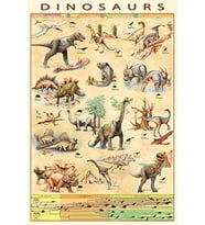 maksi poster