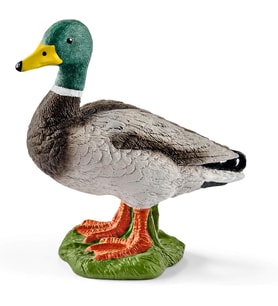 Schleich -Farm World-Erkek Ördek (Krem)