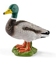 Schleich -Farm World-Erkek Ördek (Krem)