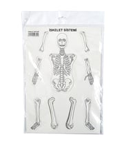 Karton İskelet Sistemi