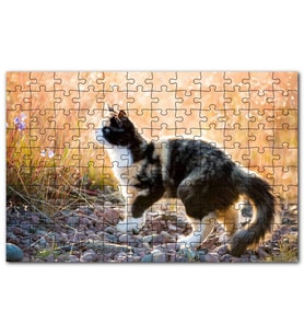Cakapuzzle Taşların Üzerinde 3 Renk Kedi ve Sarı Otlar Puzzle Yapboz MDF (Ahşap) (120 Parça)