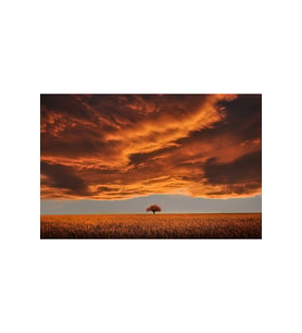 Yalnız Ağaç ve Sonbahar Çerçeveli 60x75 Sayılarla Boyama Hobi Seti