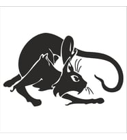 KEDİ FOLYO STİCKER 60cm Uzunluk (Karışık)
