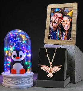 Fotoğraflı Renkli Led Işıklı Penguen Fanus ve Zümrüdü Anka Kuşu Kolye