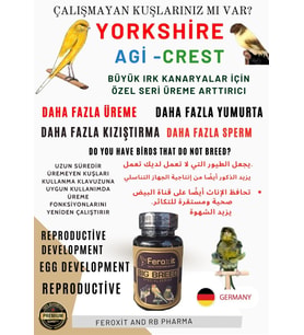 Yorkshire-Agi-Crest Irk Kanaryalar Için  Kızıştırıcı ve E Vitamini PREMİUM Ürün  100 gr