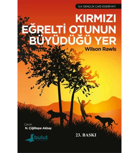 Kırmızı Eğrelti Otunun Büyüdüğü Yer