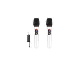 Profesyonel Kablosuz Uhf 2 Mikrofonlu Set 6.35 Mm - Beyaz HDX2791B
