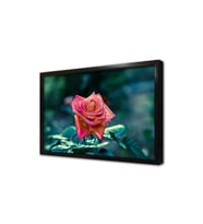 Pembe Gül Çerçeveli Cam Tablo