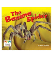 The Banana Spider Engage