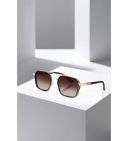 Polo Air UV400 Korumalı Erkek Güneş Gözlüğü Kahverengi Gold Renk PLG-2119C2