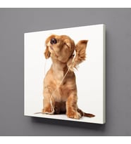 MÜZİK DİNLEYEN KÖPEK KANVAS TABLO 30x30cm (Karışık)