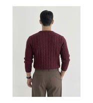 Erkek Bisiklet Yaka Slim Fit Saç Örgülü Triko Kazak