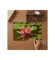Pembe Lotus Çiçeği Tasarımı 240 parça Ahşap Puzzle Ahşap Kutuda MP05428
