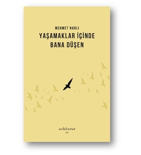 Yaşamaklar İçinde Bana Düşen