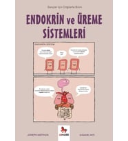 Endokrin ve Üreme Sistemleri - Gençler İçin Çizgilerle Bilim