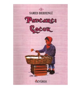 Pancarcı Çocuk