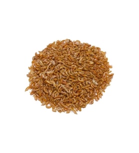 NetX Kurutulmuş Karides 25 Gr Kaplumbağa ve Balık Yemi ( Gammarus) Ürünümüz A kalitedir Skt:11/2028