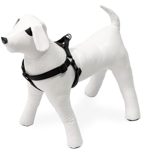Kilitli Göğüs Tasma S/M 35-60Cm Siyah