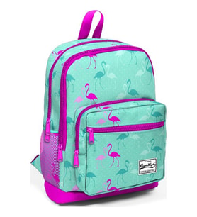 CORAL 23111 KİDS SU YEŞİLİ NEON PEMBE FLAMİNGO DESENLİ DÖRT BÖLMELİ OKUL SIRT ÇANTASI