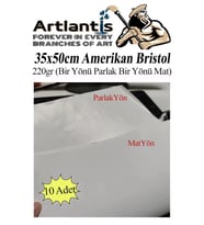 Amerikan Bristol Karton 35x50 cm 10 Adet 220 gr Bir Tarafı Parlak Bir Tarafı Mat Kağıt Biristol Karton (Beyaz)