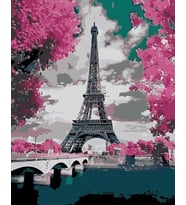 La Vie En Rose 2  Sayılarla Boyama Seti 40x 50 cm ( Tuvale Gerili)