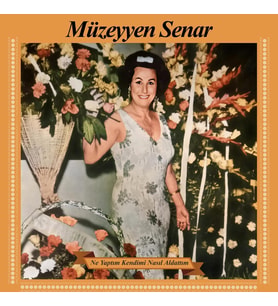 Müzeyyen Senar Ne Yaptım Kendime Nasıl Aldattım - Plak (Standart)