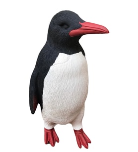 PENGUEN
