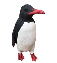 PENGUEN