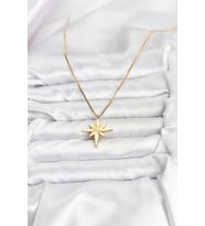316L Çelik Zincir Gold Renk Kutup Yıldızı Model 60 cm Zincir Kadın Kolye 5886 - HPSBYI9880-909
