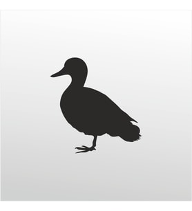 Folyo Sticker Ördek 60cm Uzunluk (Karışık)