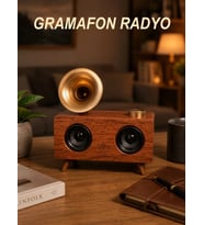 Gramafon Nostaljik Radyo Yüksek Ses Kalitesi USB TF Kart Aux Yeni Nesil