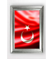 GÜMÜŞ ÇERÇEVELİ TABLO A1267