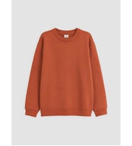 LCW Kids Kahverengi Bisiklet Yaka Erkek Çocuk Kalın Sweatshirt