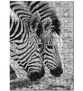 Cakapuzzle Siyah Beyaz Zebra Görseli Puzzle Yapboz MDF (Ahşap) (120 Parça)