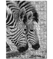 Cakapuzzle Siyah Beyaz Zebra Görseli Puzzle Yapboz MDF (Ahşap) (120 Parça)
