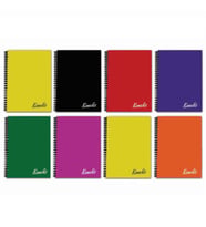 Komeks Spiralli Defter Plastik Kapak Kareli 96 YP A4 96/4 SA4