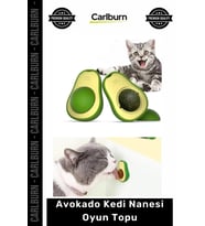 Özel Üretim Diş Temizleyici Stres Giderici Doğal Catnip Sağlıklı Hijyen Avokado Kedi Nanesi Oyun Top