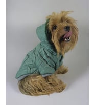 Green Comfy Köpek Montu, Köpek Ceketi, Köpek Dış Giyim