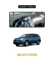 SUBARU TRİBECATORPİDO KORUMA HALISI SİYAH KENAR