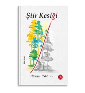 Şiir Kesiği