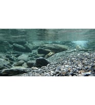 Kanki Pet KP1256331 Akvaryum Arka Fon Yapıştırma 125 x 63 CM