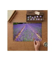 Lavanta Tarlası Tasarımı 240 parça Ahşap Puzzle Ahşap Kutuda MP02053