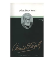 ÇÖLE İNEN NUR