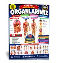 ORGANLARIMIZ – İnsan Vücudunu Keşfetmenin En Kolay Yolu!