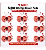 9’lu Uğur Böceği Kostüm Seti – Kanat Taç Asa