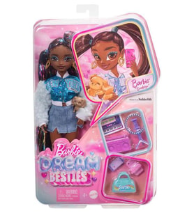 Barbie Dream Besties Barbie Brooklyn Bebek ve Aksesuarları HYC22